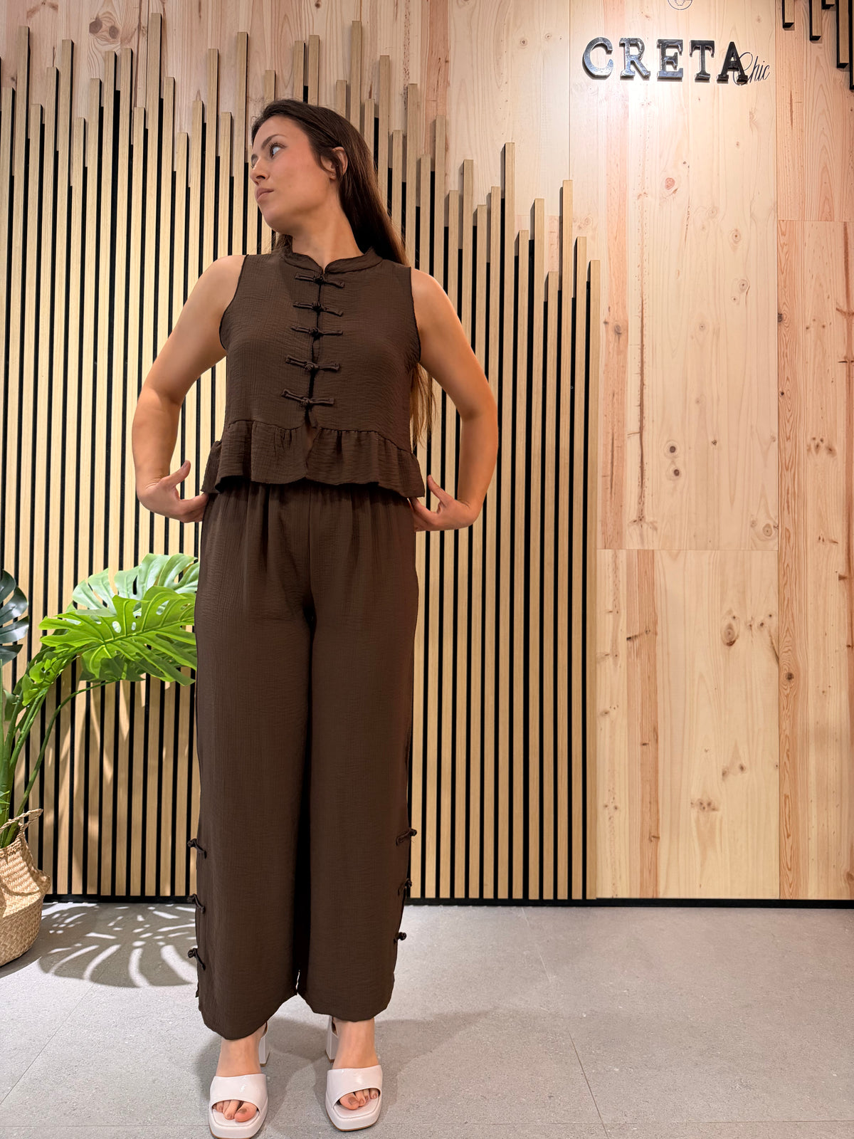 Conjunto Ikigai